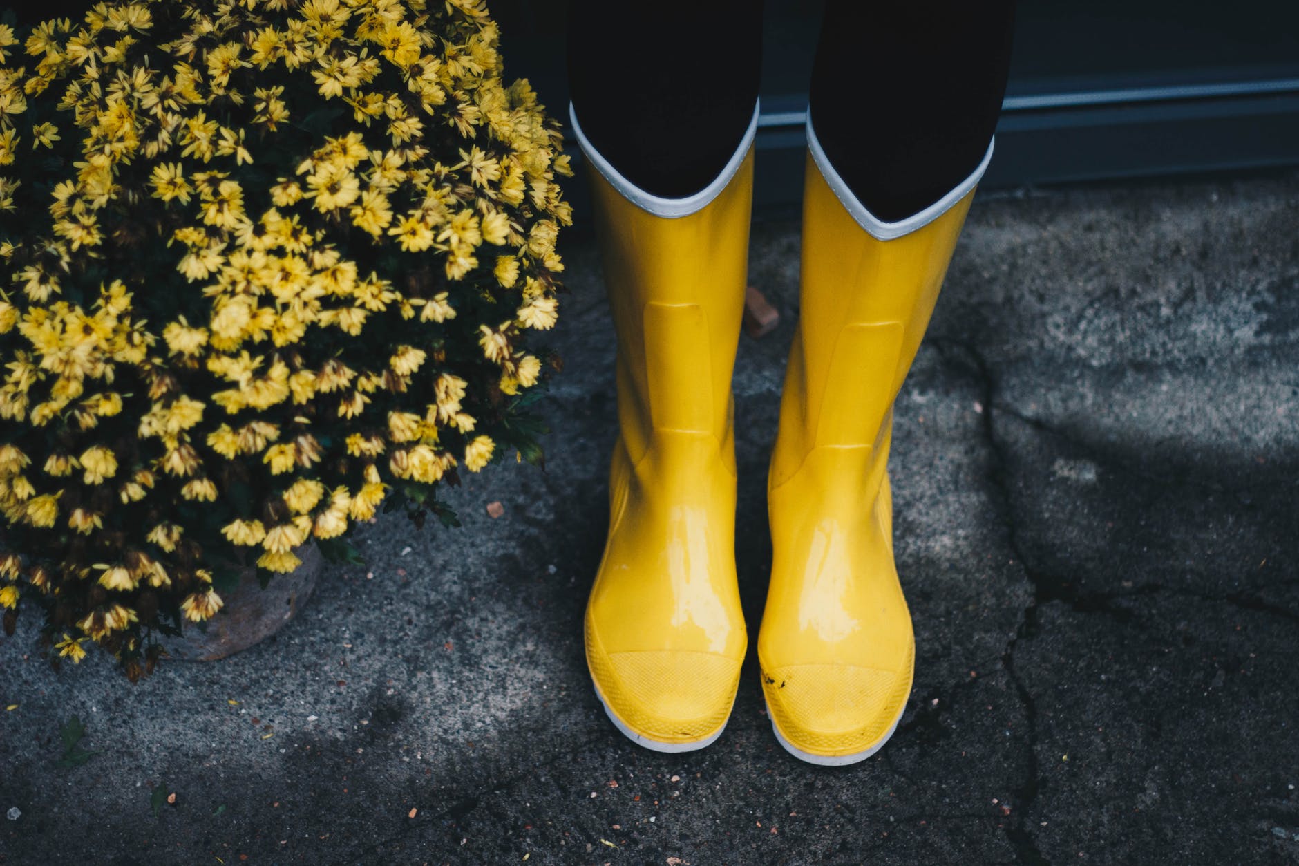 photo of yellow boots near flowers